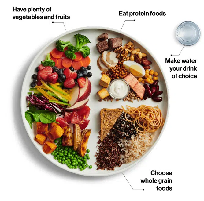 A plate of a balanced diet with phytonutrient-rich foods